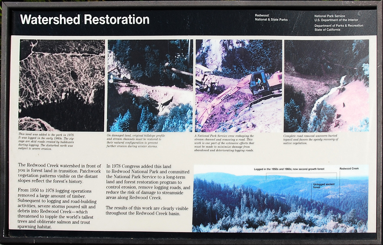 2013-07-08, 005, Redwood Creek Overlook, Redwood NP, CA