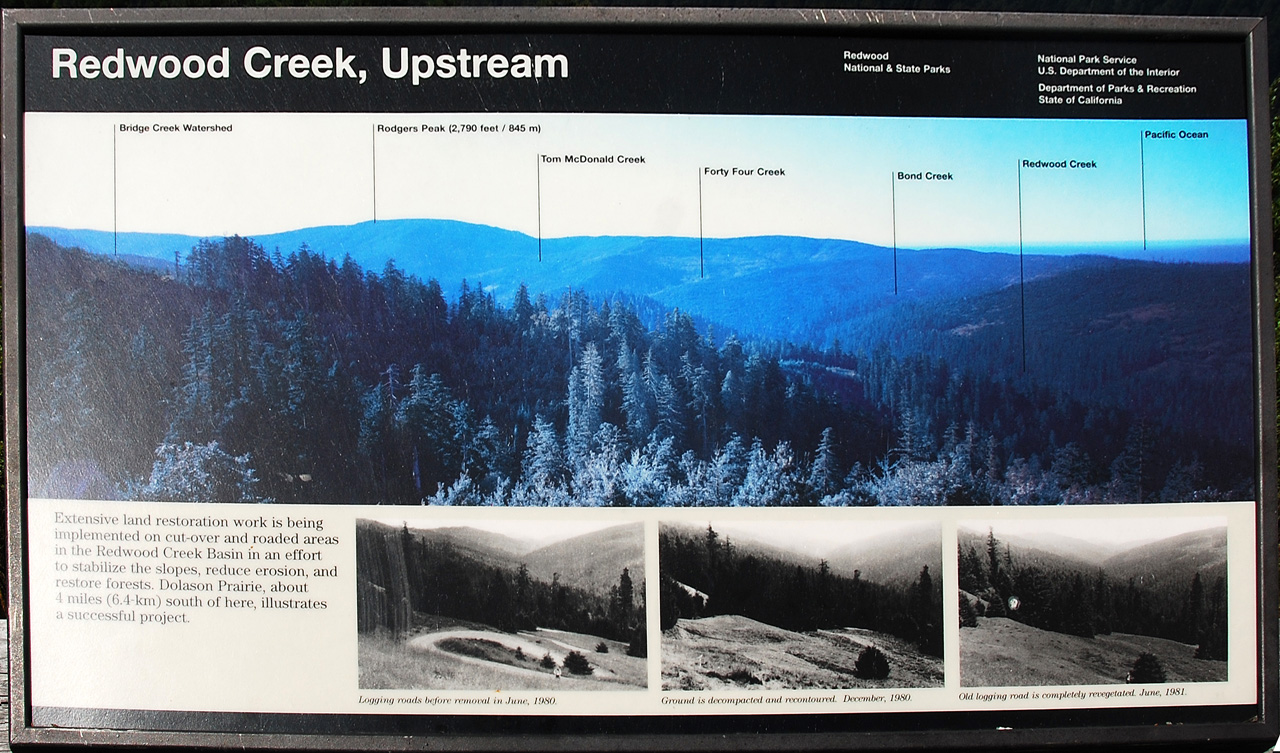 2013-07-08, 007, Redwood Creek Overlook, Redwood NP, CA