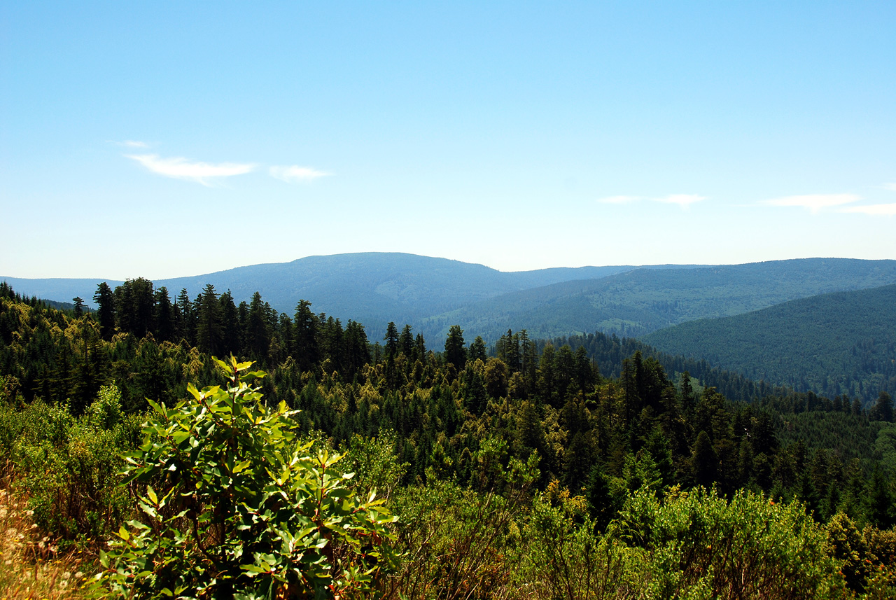 2013-07-08, 011, Redwood Creek Overlook, Redwood NP, CA