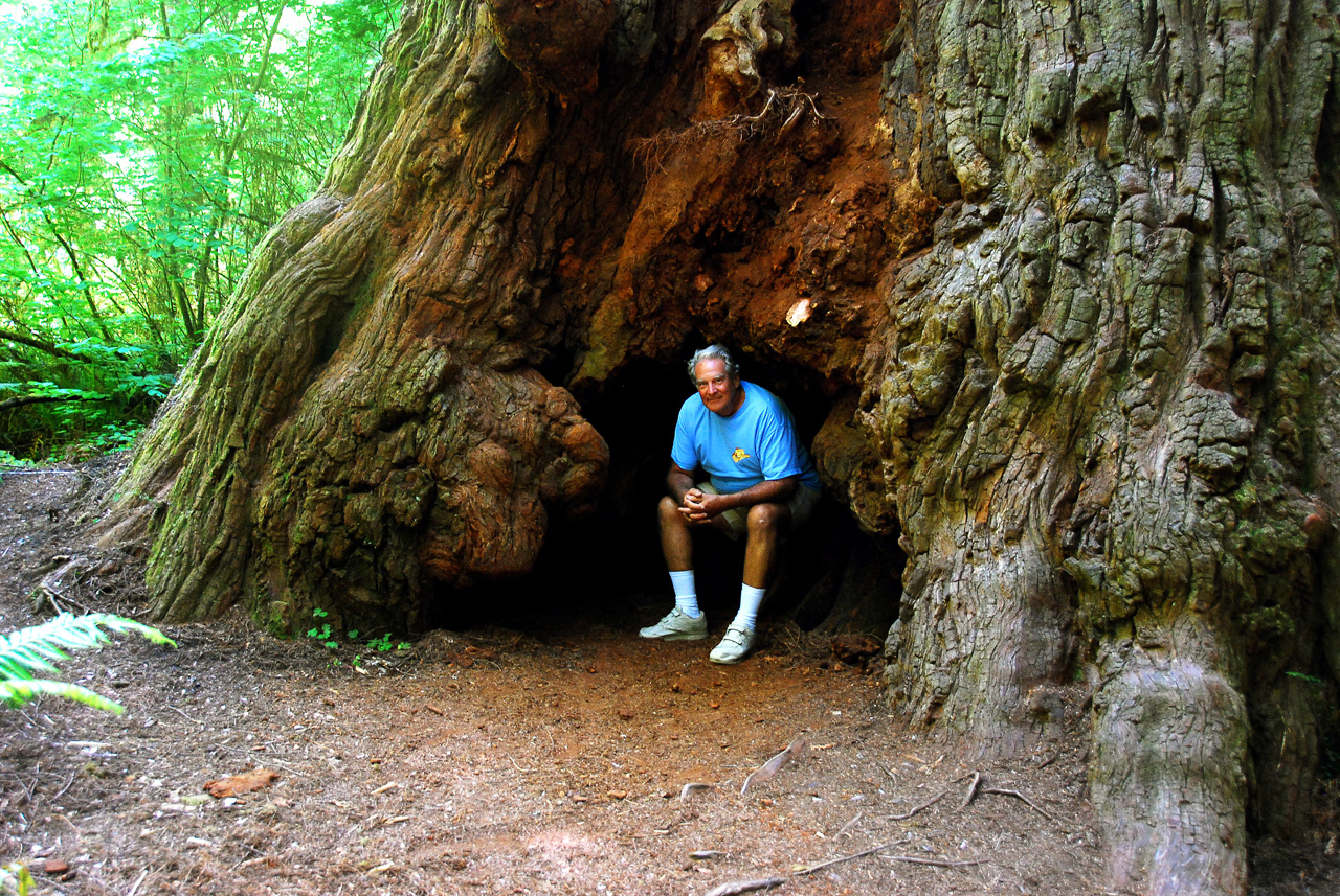 2013-07-05, 055, Simpson-Reed, Jedediah Smith Redwoods SP, CA