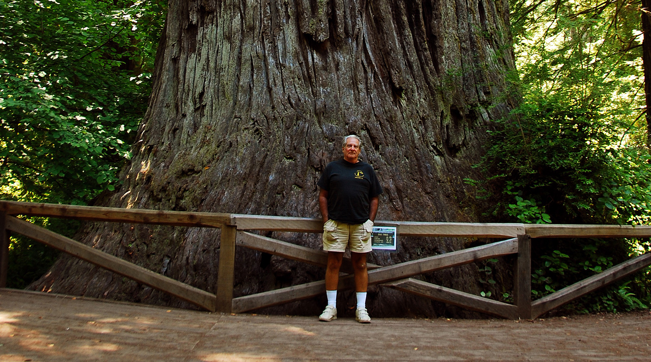 2013-07-06, 002, Big Tree, Praire Cheek Redwood SP, CA