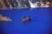 2013-07-12, 051, Phantom Ship, Crater Lake, OR