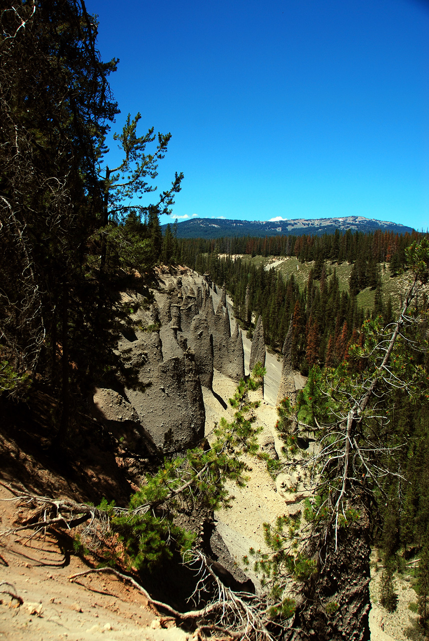 2013-07-13, 017, The Pinnacles, Crater Lake NP, OR