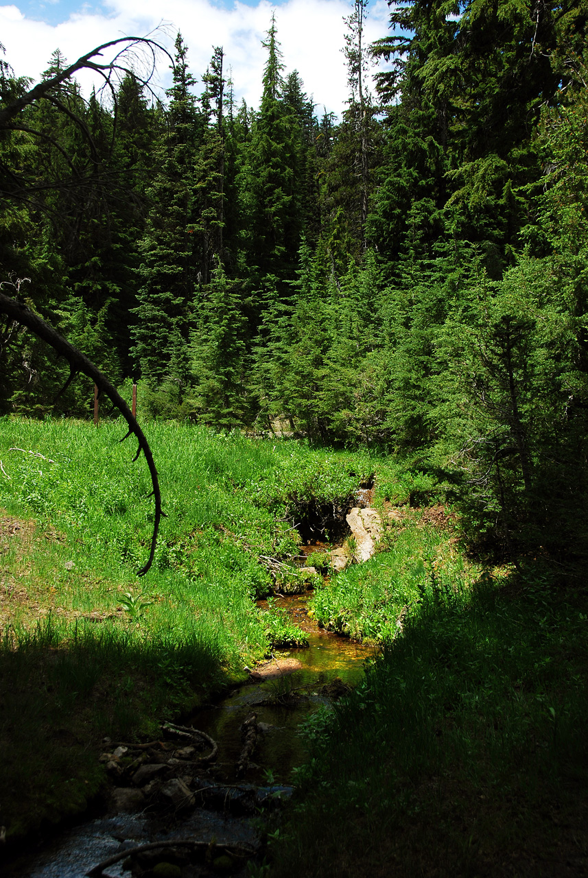 2013-07-16, 004, Lady of the Wood, Crater Lake NP, OR