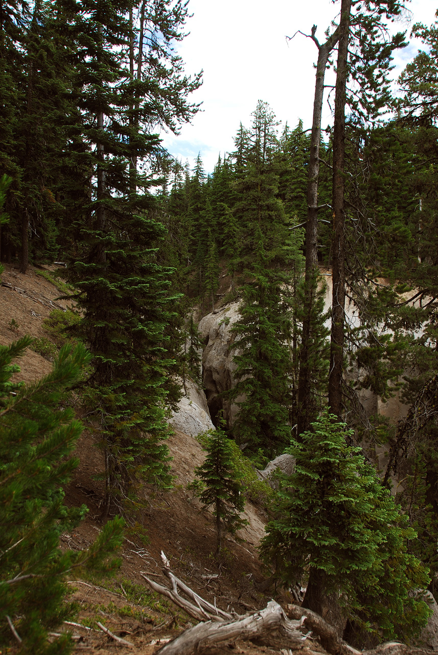 2013-07-16, 021, Godfrey Glen Trai, Crater Lake NP, OR