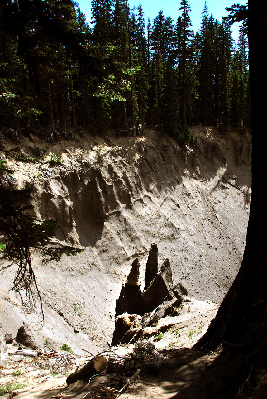 2013-07-16, 030, Godfrey Glen Trai, Crater Lake NP, OR