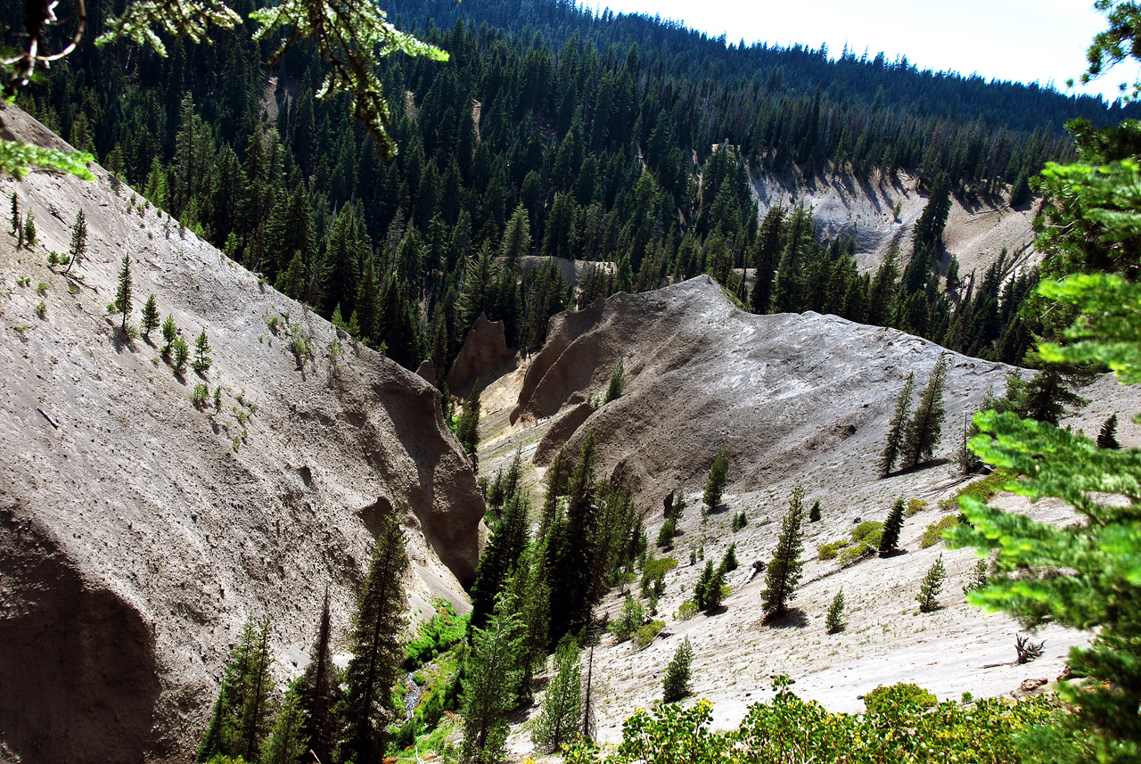 2013-07-16, 031, Godfrey Glen Trai, Crater Lake NP, OR