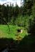 2013-07-16, 004, Lady of the Wood, Crater Lake NP, OR
