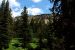 2013-07-16, 009, Lady of the Wood, Crater Lake NP, OR