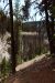 2013-07-16, 018, Godfrey Glen Trai, Crater Lake NP, OR