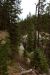 2013-07-16, 021, Godfrey Glen Trai, Crater Lake NP, OR