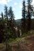 2013-07-16, 023, Godfrey Glen Trai, Crater Lake NP, OR