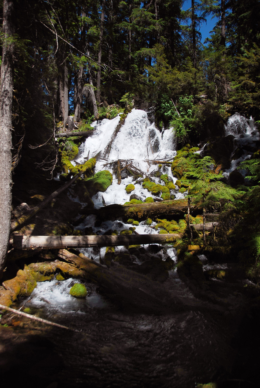 2013-07-14, 007, Clearwater Falls, Umpqua, OR