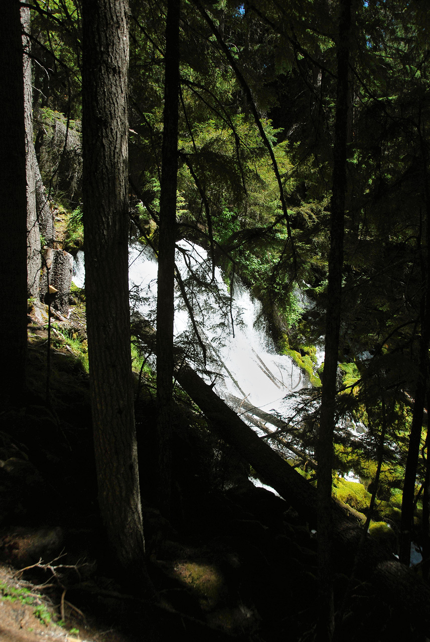 2013-07-14, 008, Clearwater Falls, Umpqua, OR