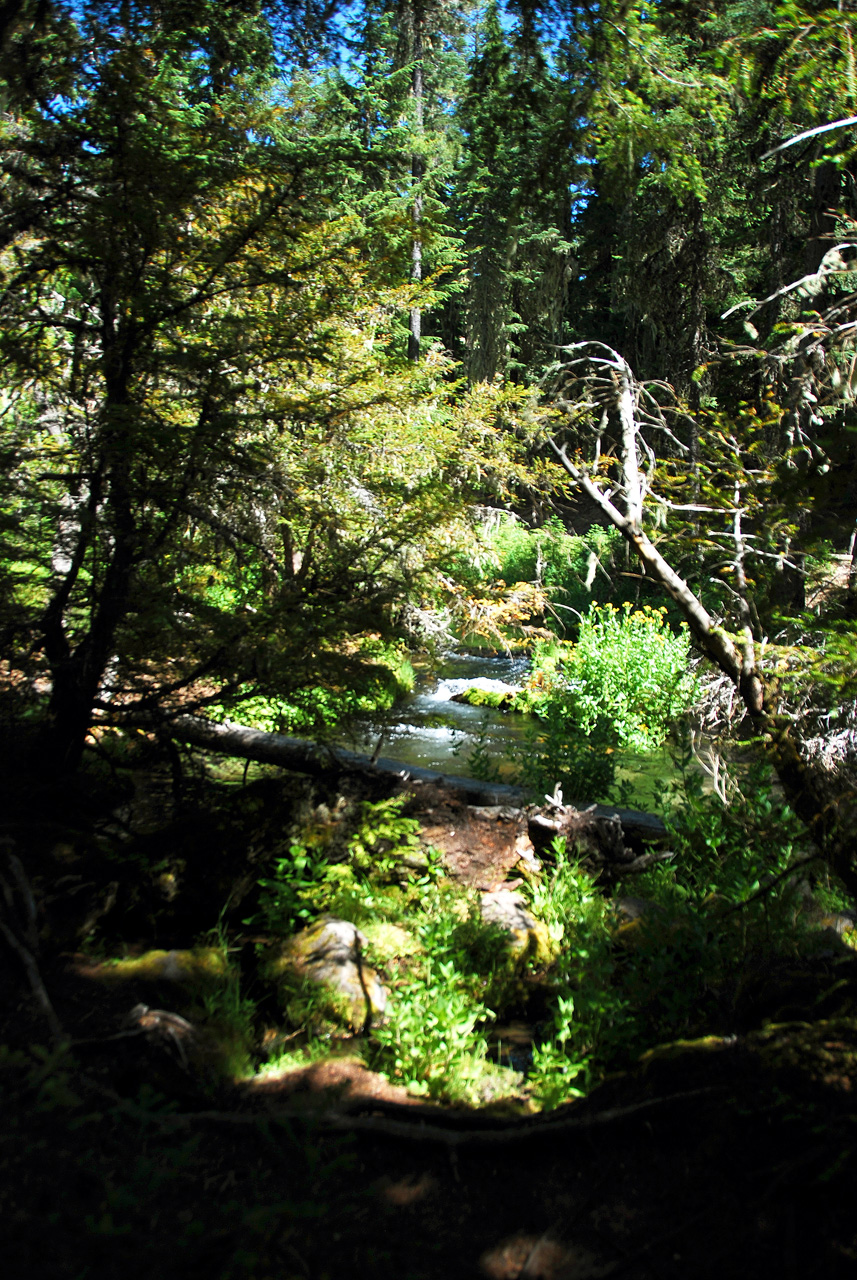 2013-07-14, 010, Clearwater Falls, Umpqua, OR