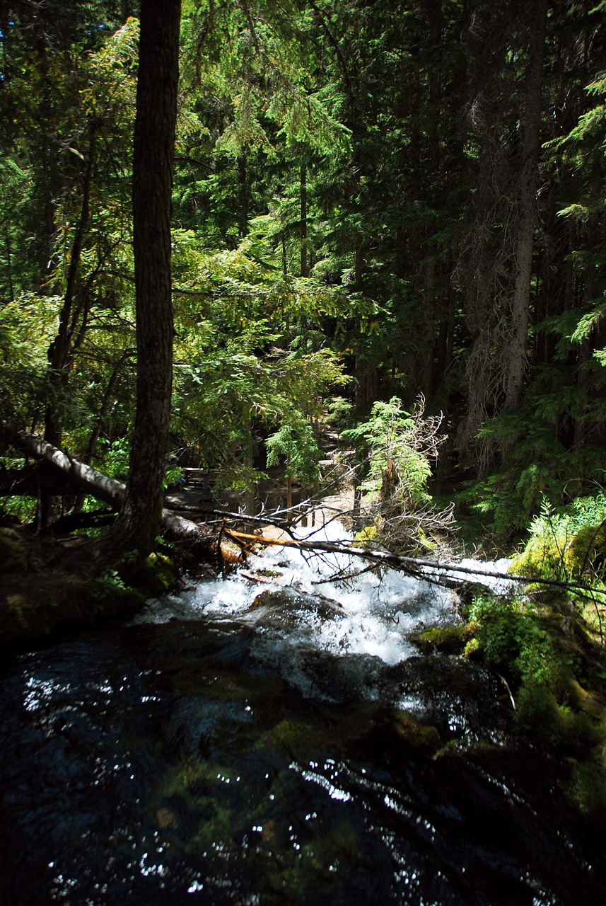 2013-07-14, 011, Clearwater Falls, Umpqua, OR