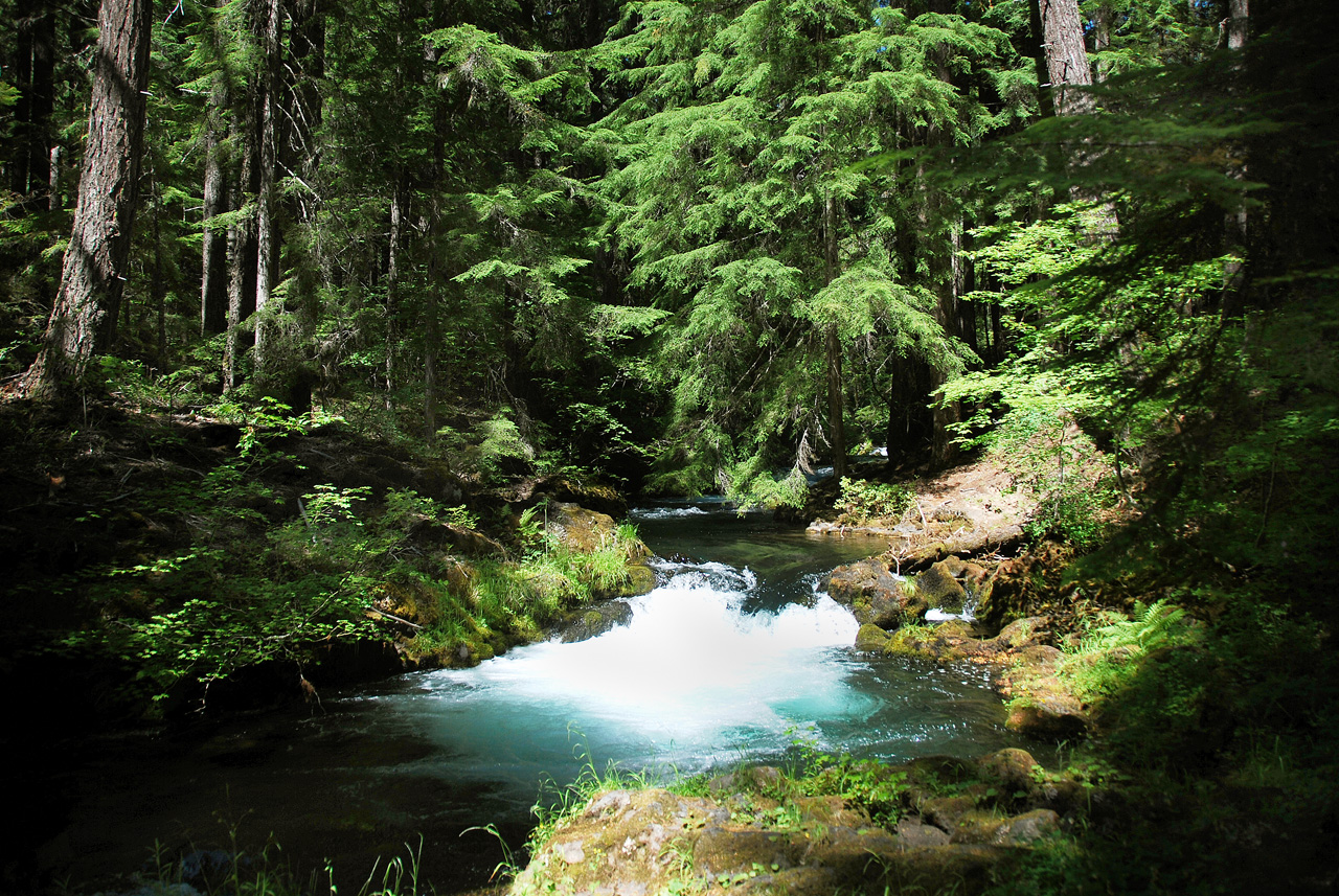 2013-07-14, 015, Whitehorse Falls, Umpqua, OR