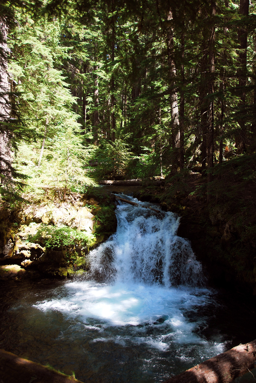 2013-07-14, 019, Whitehorse Falls, Umpqua, OR