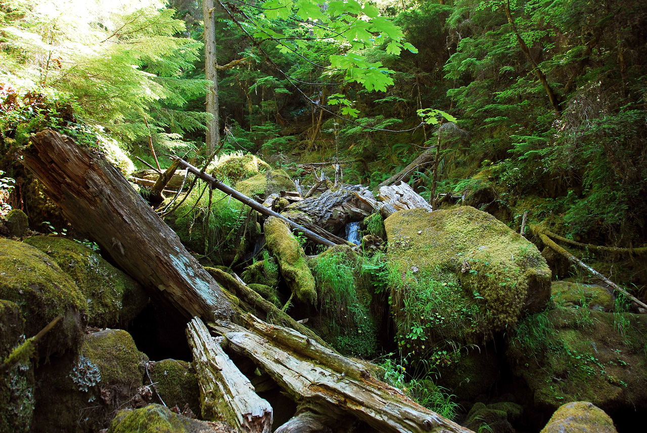 2013-07-14, 022, Watson Falls, Umpqua, OR