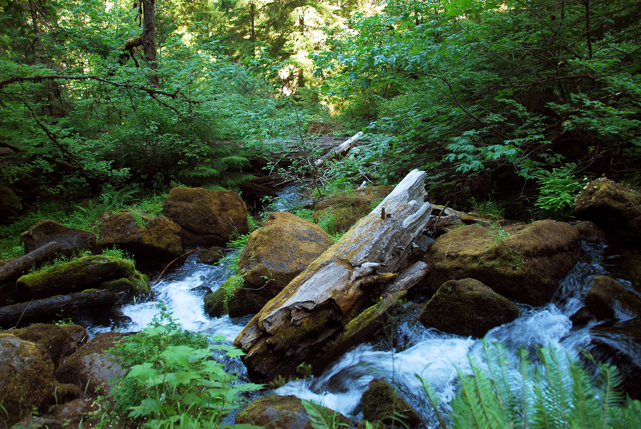 2013-07-14, 030, Watson Falls, Umpqua, OR