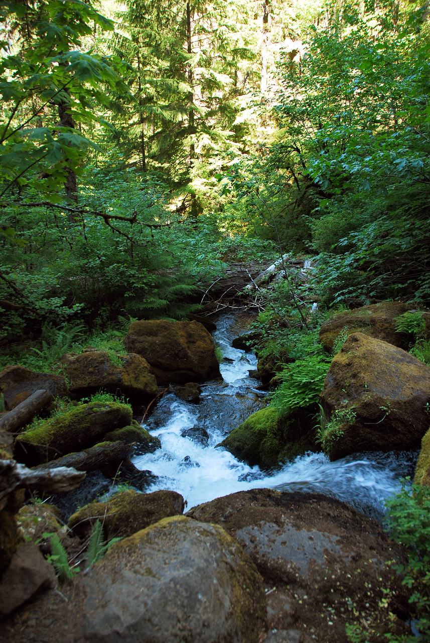 2013-07-14, 031, Watson Falls, Umpqua, OR