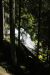 2013-07-14, 008, Clearwater Falls, Umpqua, OR