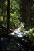 2013-07-14, 011, Clearwater Falls, Umpqua, OR