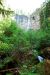 2013-07-14, 024, Watson Falls, Umpqua, OR