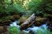2013-07-14, 030, Watson Falls, Umpqua, OR