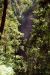 2013-07-14, 040, Toketee Falls, Umpqua, OR