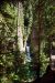2013-07-14, 041, Toketee Falls, Umpqua, OR