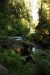 2013-07-14, 045, Toketee Falls, Umpqua, OR