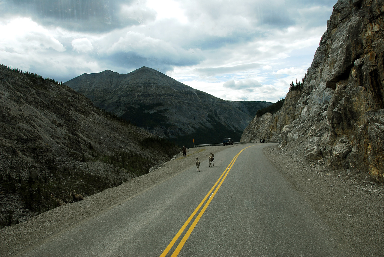 2013-07-28, 044, Alaskan Hwy Mile 0 - 496 BC, CA
