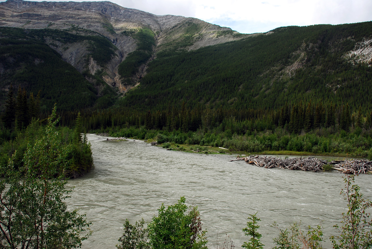 2013-07-28, 073, Alaskan Hwy Mile 0 - 496 BC, CA
