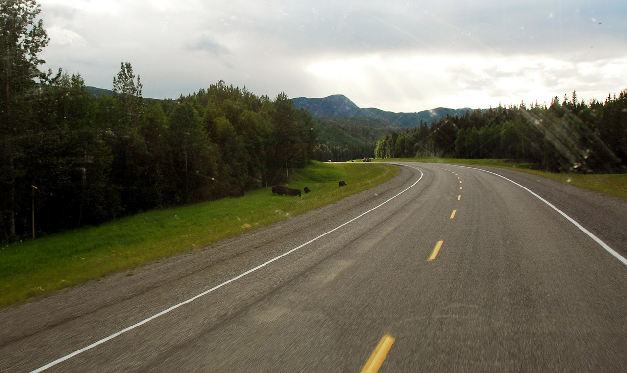2013-07-28, 102, Alaskan Hwy Mile 0 - 496 BC, CA