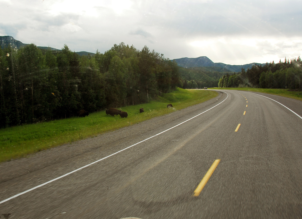 2013-07-28, 103, Alaskan Hwy Mile 0 - 496 BC, CA