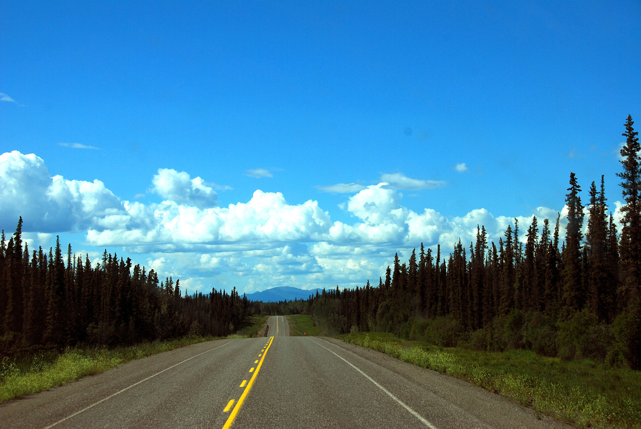 2013-07-29, 051, Alaskan Hwy Mile ... 981, BC-YT, CA