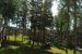 2013-07-29, 023, Alaskan Hwy Mile ... 981, BC-YT, CA