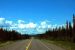 2013-07-29, 051, Alaskan Hwy Mile ... 981, BC-YT, CA