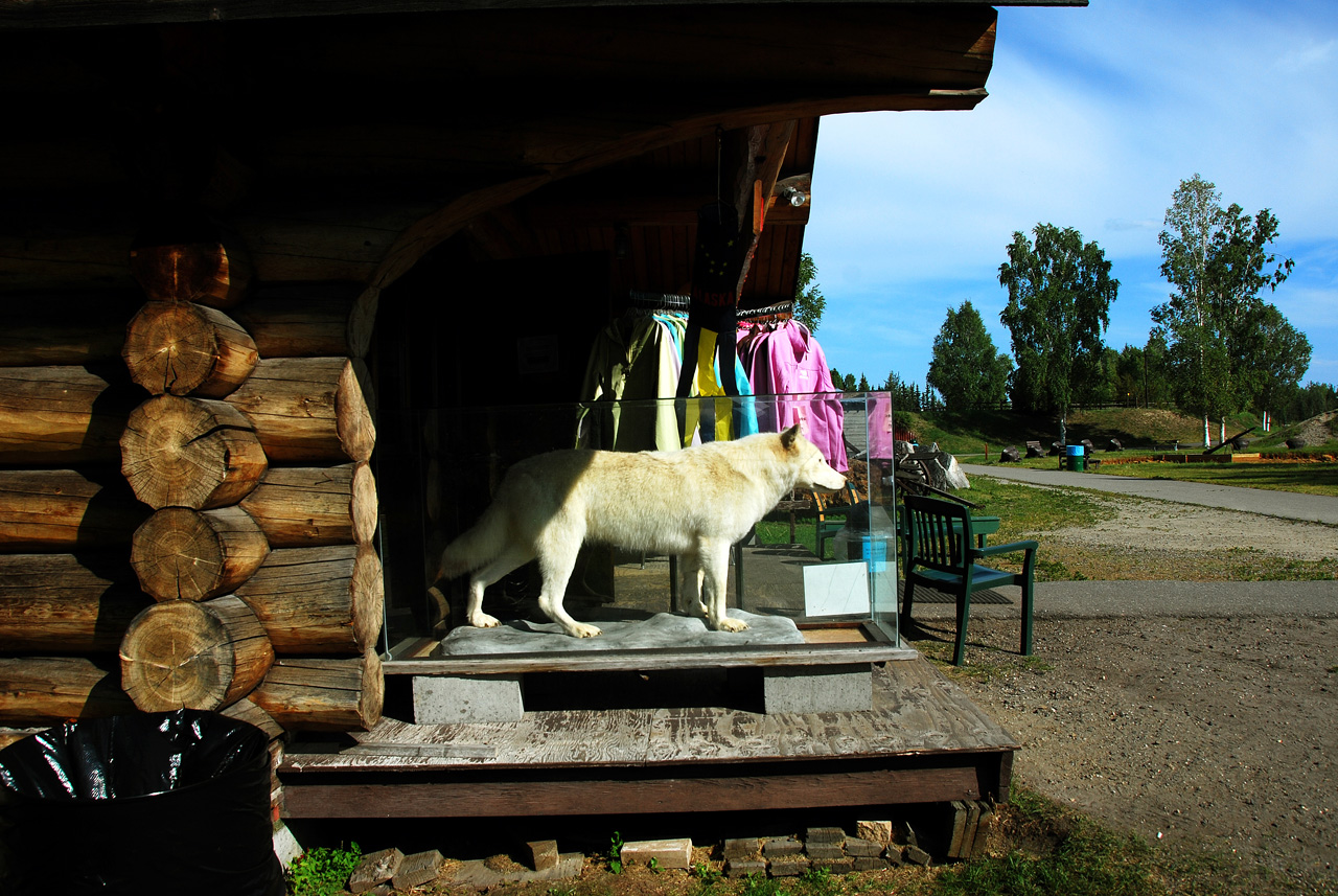 2013-08-01, 048, Pioneer Park, Fairbanks, AK