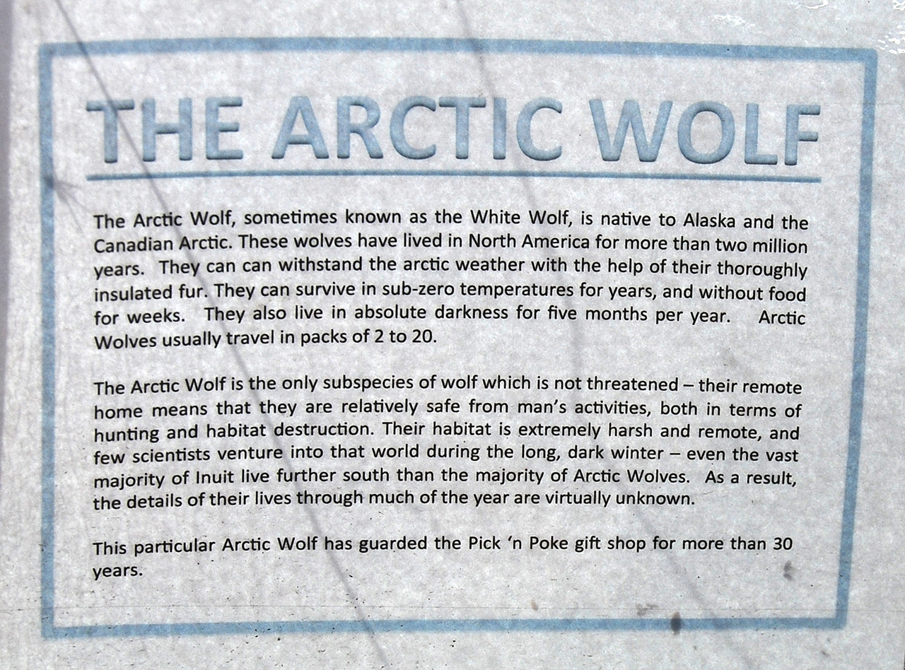2013-08-01, 049, Pioneer Park, Fairbanks, AK