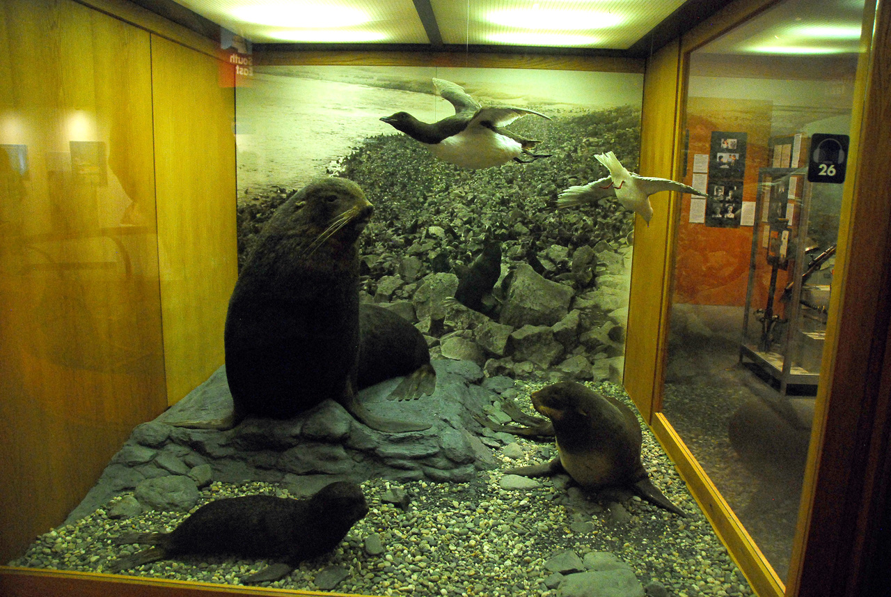 2013-08-02, 007, UA Museum of the North, Fairbanks, AK