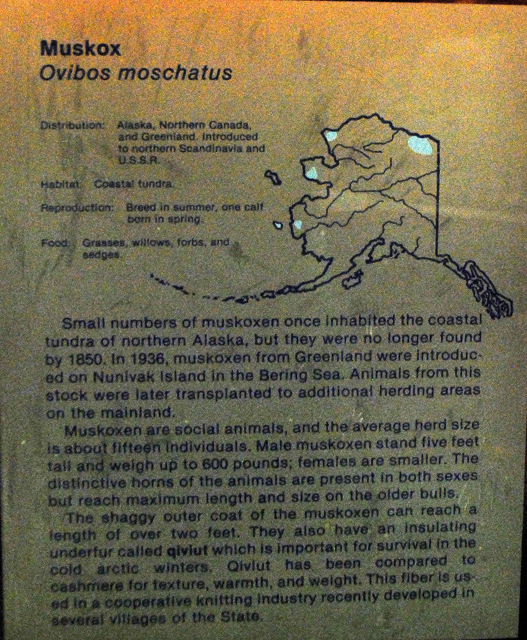 2013-08-02, 010, UA Museum of the North, Fairbanks, AK