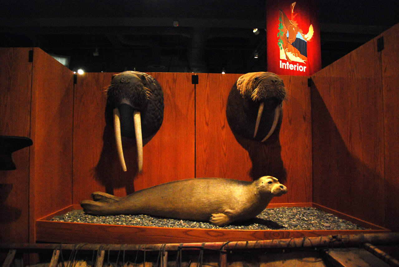 2013-08-02, 015, UA Museum of the North, Fairbanks, AK