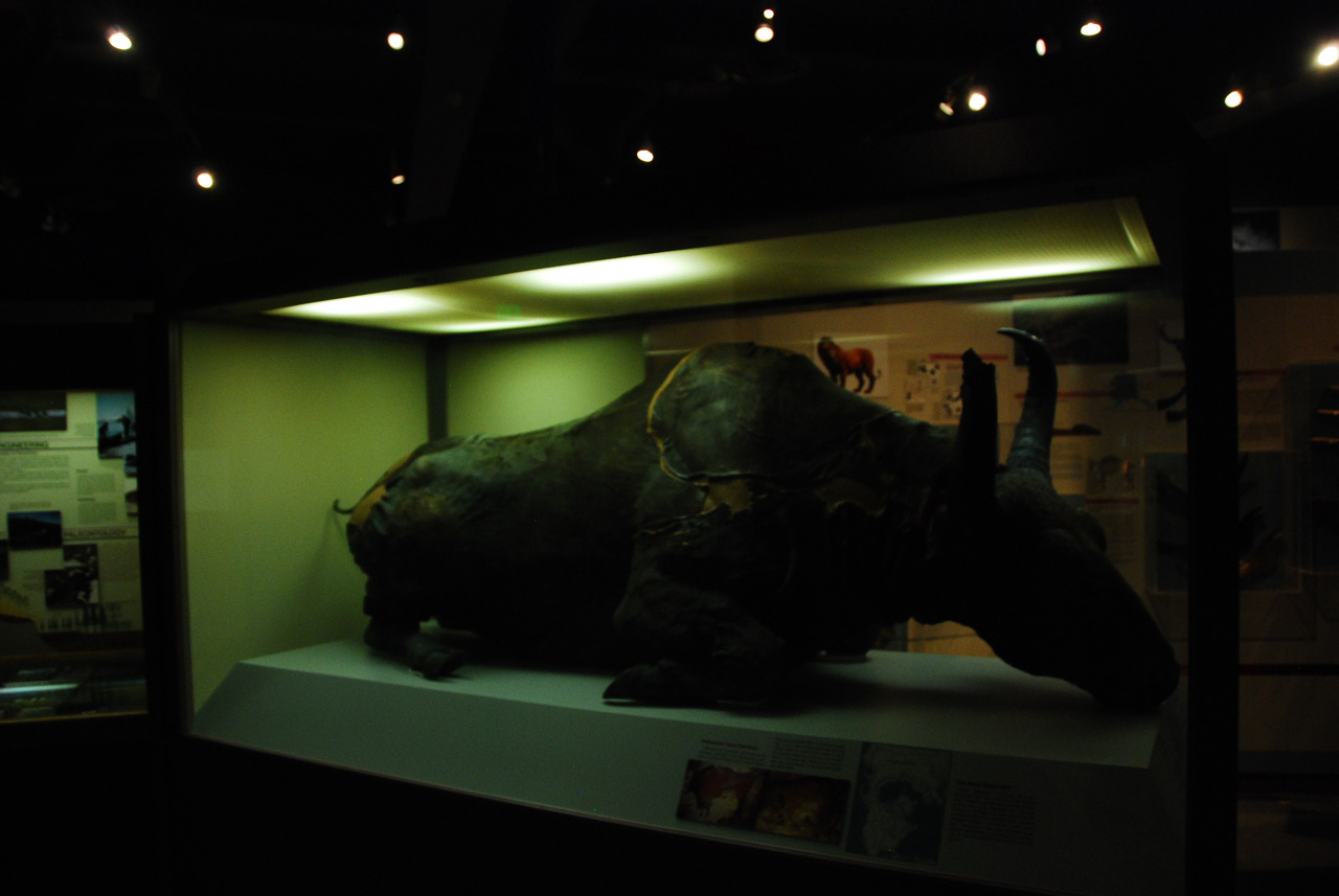 2013-08-02, 020, UA Museum of the North, Fairbanks, AK
