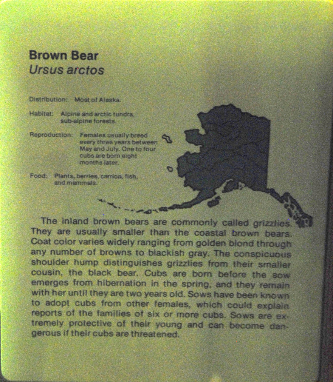 2013-08-02, 023, UA Museum of the North, Fairbanks, AK