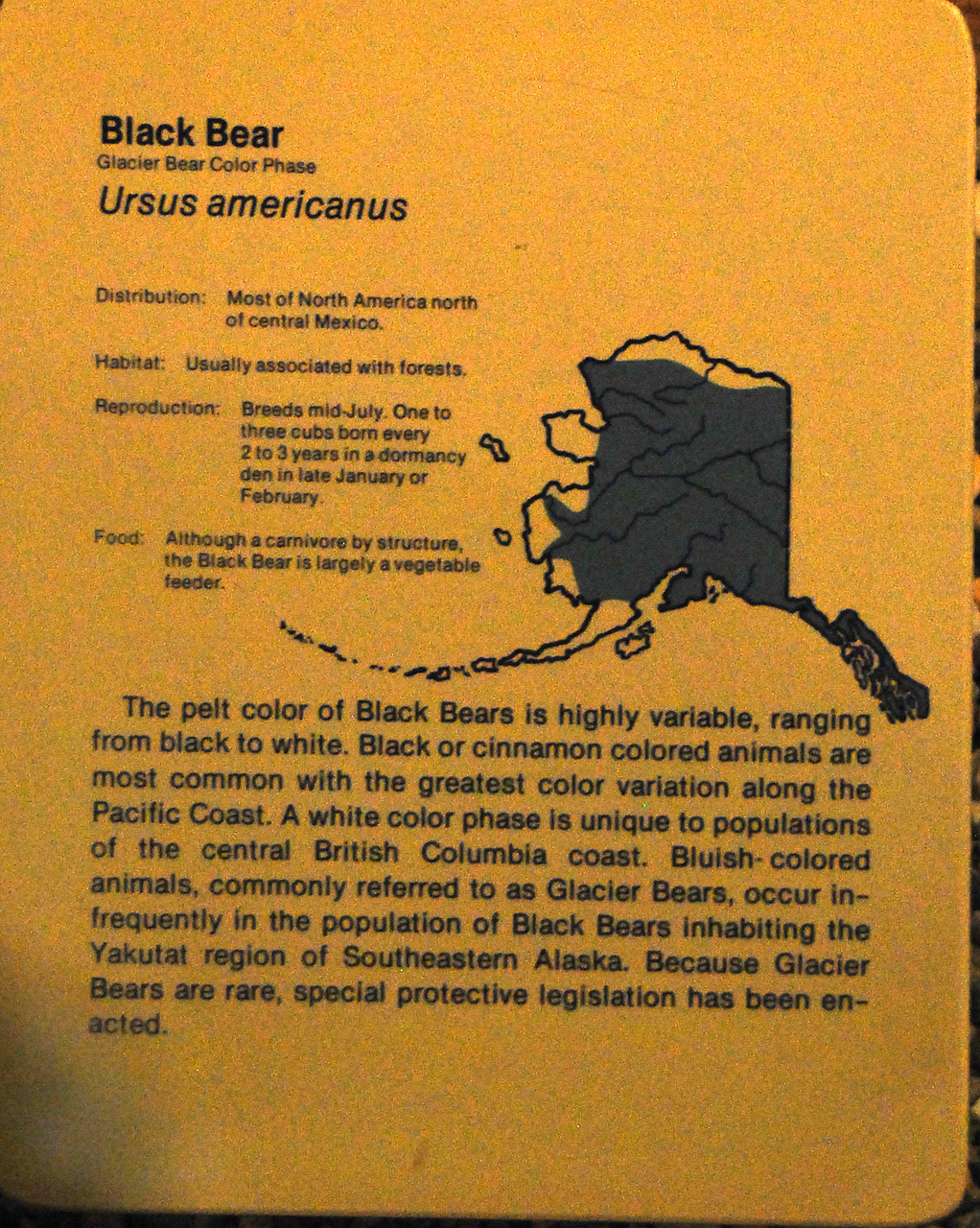 2013-08-02, 032, UA Museum of the North, Fairbanks, AK
