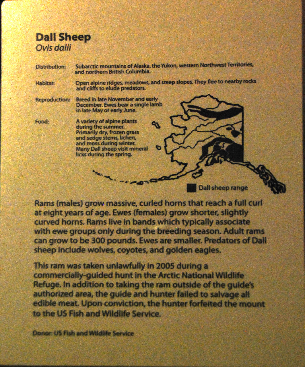 2013-08-02, 035, UA Museum of the North, Fairbanks, AK