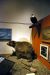2013-08-02, 029, UA Museum of the North, Fairbanks, AK