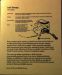 2013-08-02, 035, UA Museum of the North, Fairbanks, AK
